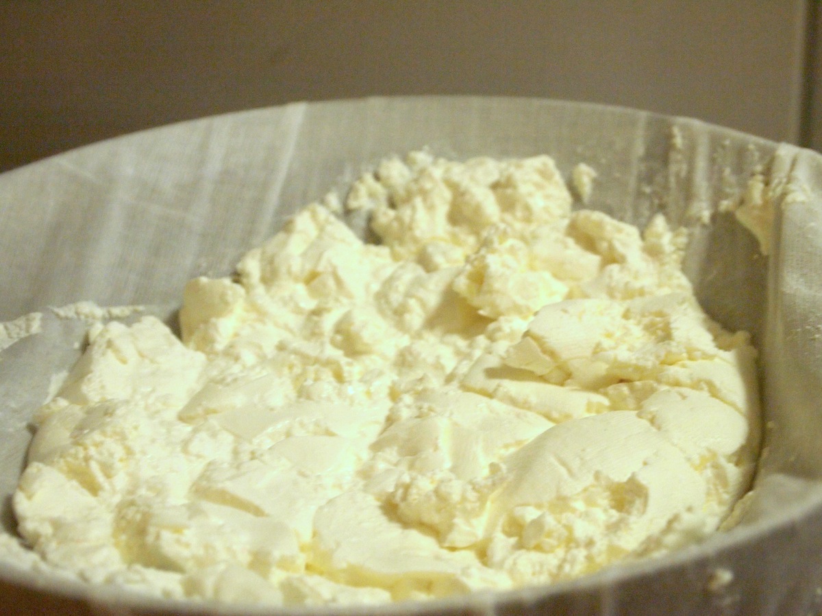 Muller’s Delicatessen, Part 3 Cream Cheese and Mustard Cookbook