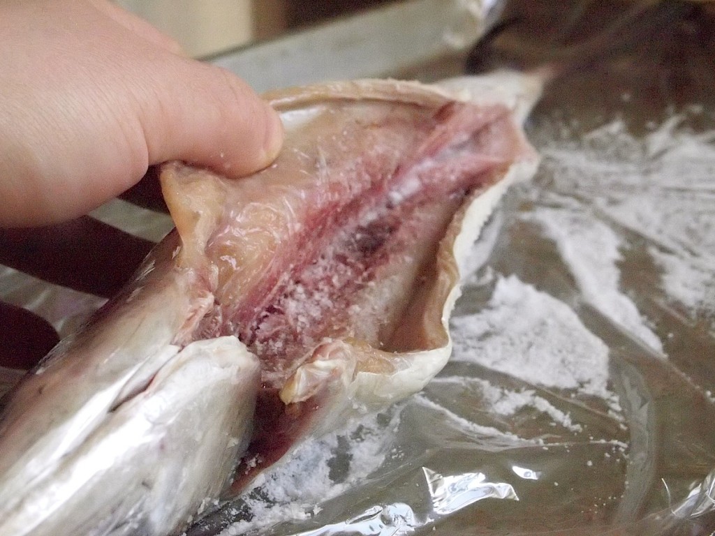 salting mackerel cavity